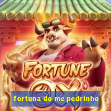 fortuna do mc pedrinho