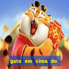 gato em cima do telhado significado espiritual