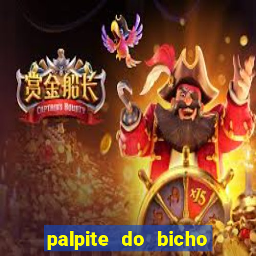 palpite do bicho deu no poste