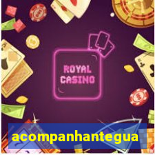 acompanhanteguanambi