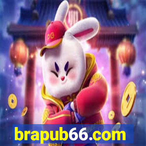 brapub66.com