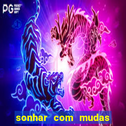 sonhar com mudas de plantas