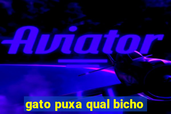 gato puxa qual bicho