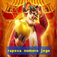 raposa numero jogo do bicho