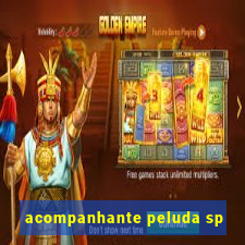 acompanhante peluda sp