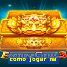 como jogar na lotinha do jogo do bicho
