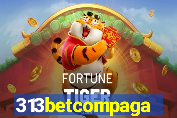 313betcompaga