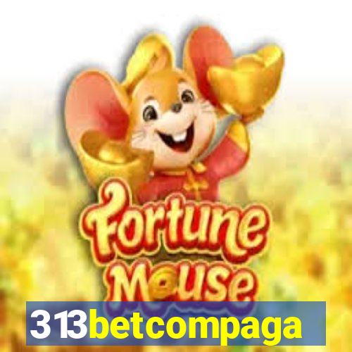 313betcompaga