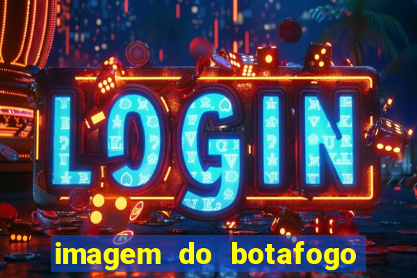 imagem do botafogo zuando o palmeiras
