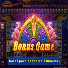 hotel para cachorro blumenau