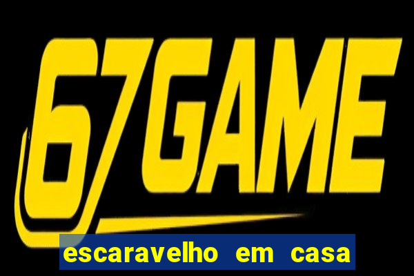 escaravelho em casa significado espiritual