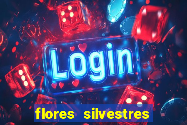 flores silvestres desbravadores desbravadores 25