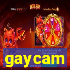 gaycam