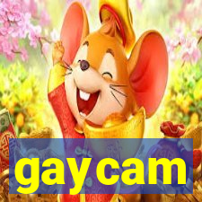 gaycam