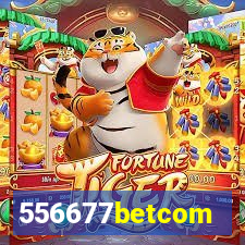 556677betcom
